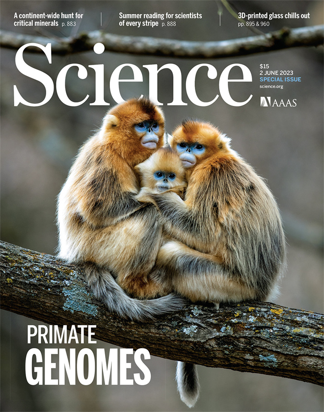 Science封面文章:杏彩手机官方网站金丝猴研究团队首次系统揭示灵长类社会演化之谜_fororder_《自然》封面.JPG
