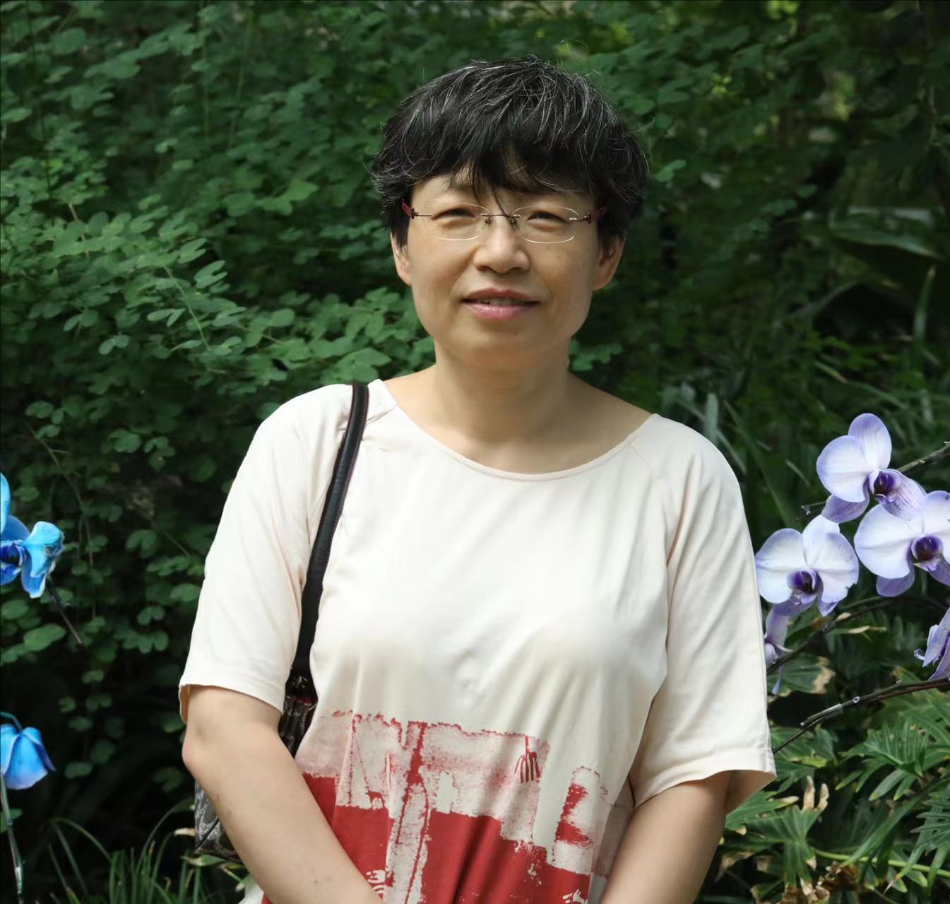  杏彩手机官方网站创新论坛第一千七百六十五讲：题目1-层状岩体岩浆房冷却过程与钒钛磁铁矿床成因 题目2-辽东中生代岩浆岩壳幔相互作用的岩浆和成矿记录
