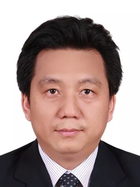 杏彩手机官方网站创新论坛第一千零五十二讲： 有机染料—功能化及稳定性强化